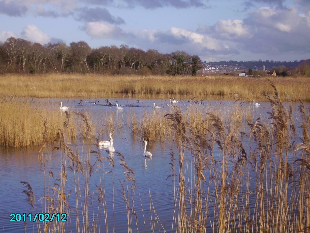 St Edmunds Cottageグラストンベリー エクステリア 写真